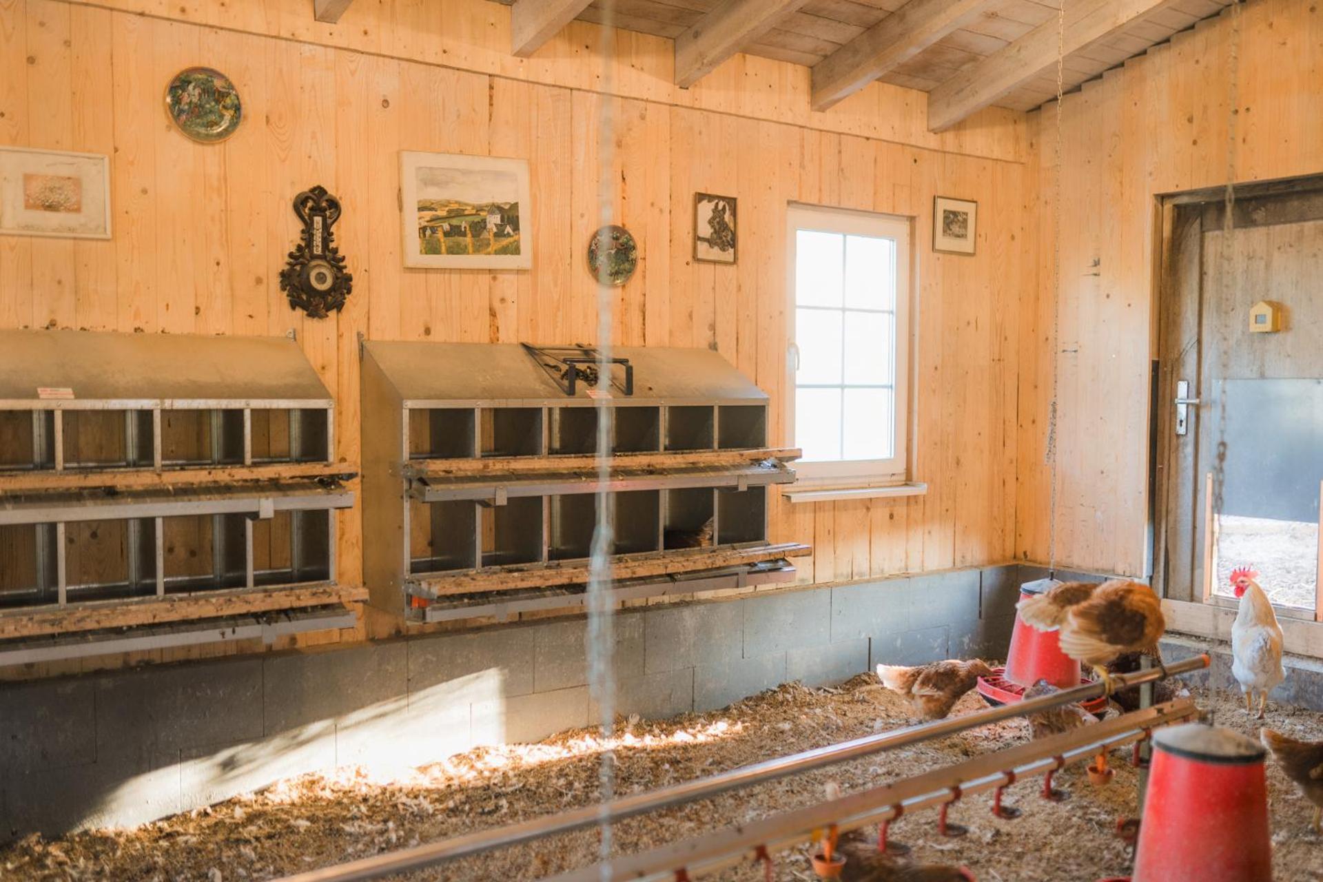 Hof Koehne - Doppelhaus - Wohnung Dreifachhexe Schmallenberg Dış mekan fotoğraf
